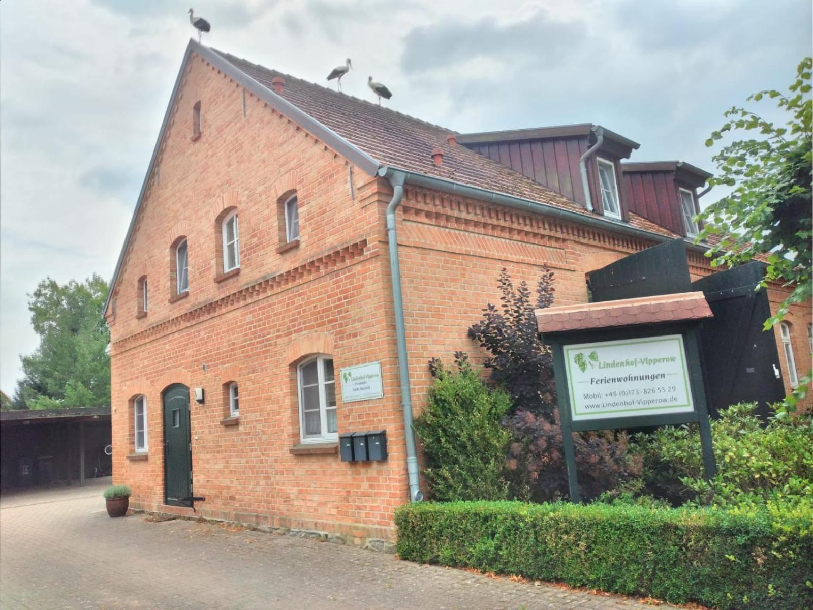 Lindenhof, Wohnung 1, Giebel Vipperow Dış mekan fotoğraf